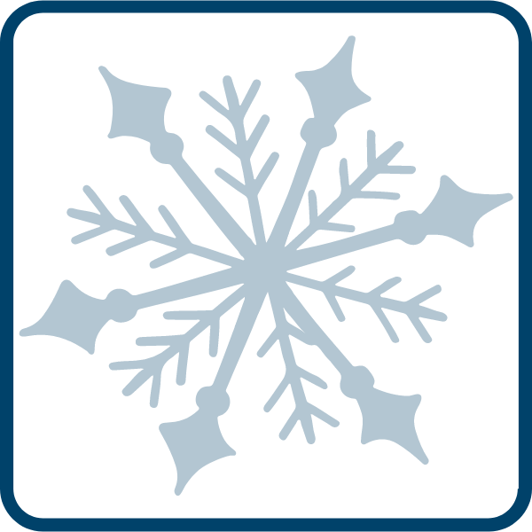 snowflake 3.png