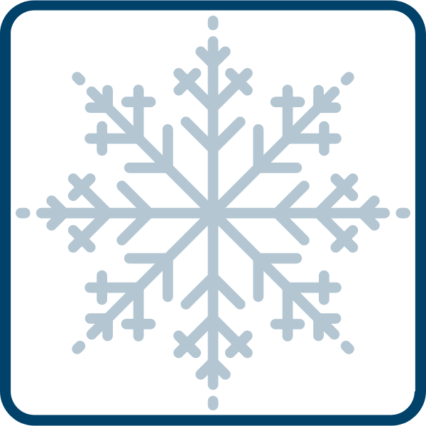 snowflake 5.png